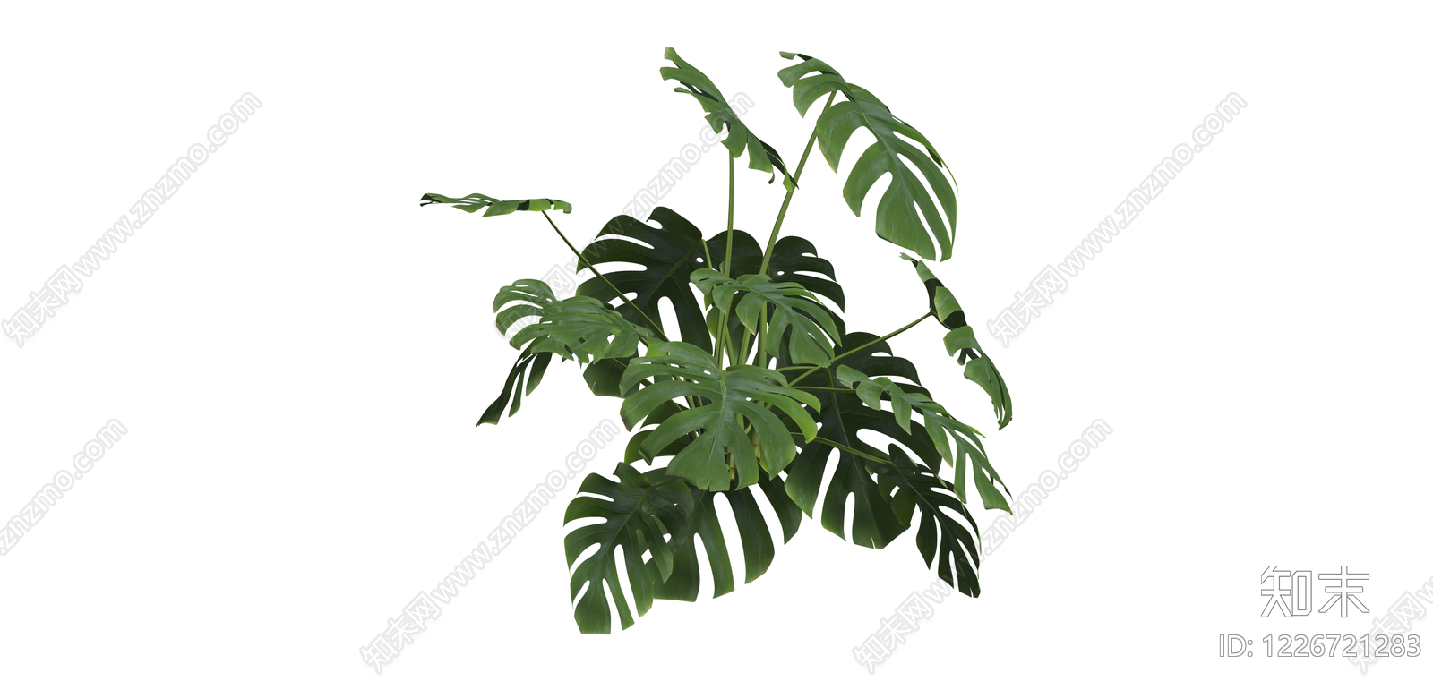 龟背竹盆栽绿植SU模型下载【ID:1226721283】