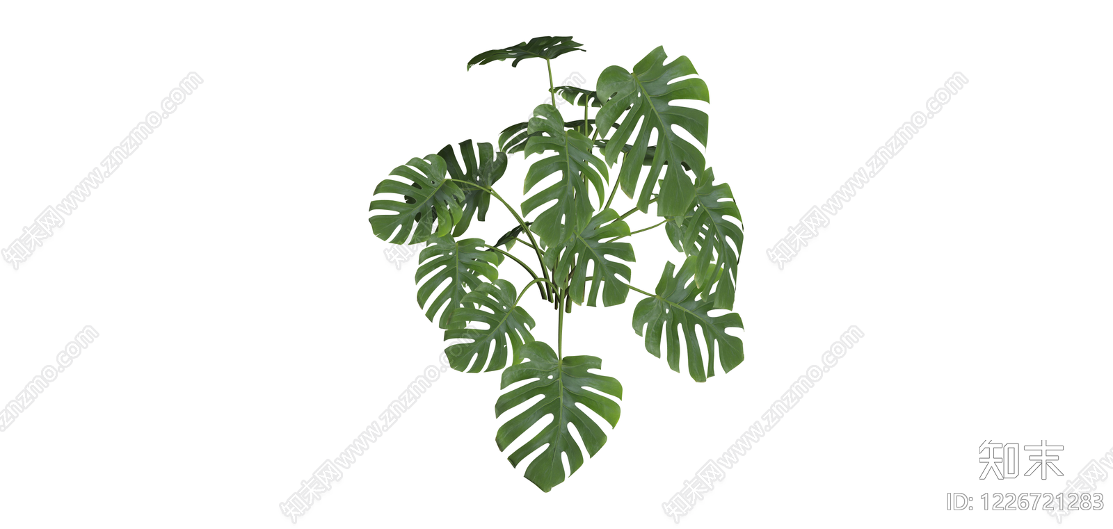 龟背竹盆栽绿植SU模型下载【ID:1226721283】
