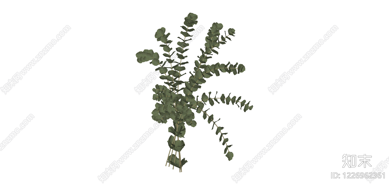 尤加利叶植物组SU模型下载【ID:1226962361】