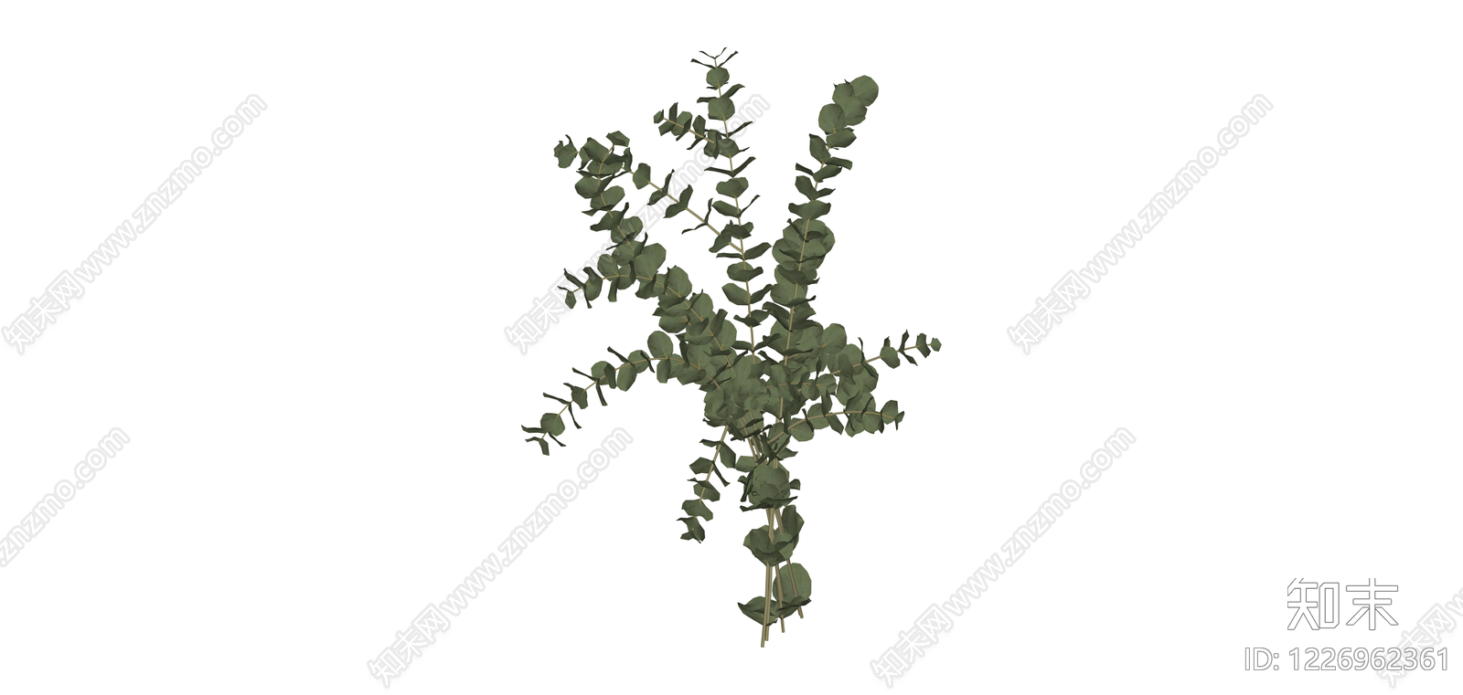 尤加利叶植物组SU模型下载【ID:1226962361】