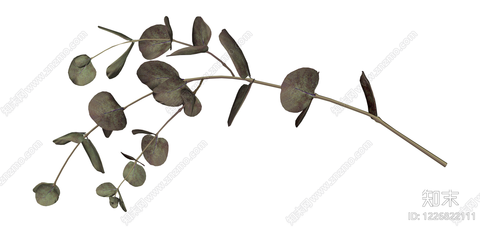 尤加利叶植物枝条SU模型下载【ID:1226822111】