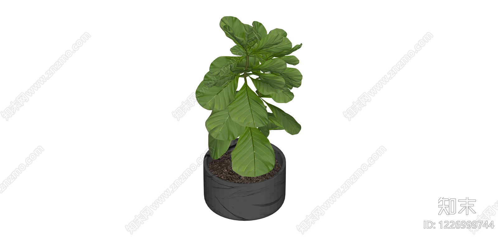 盆栽琴叶榕绿植SU模型下载【ID:1226999744】