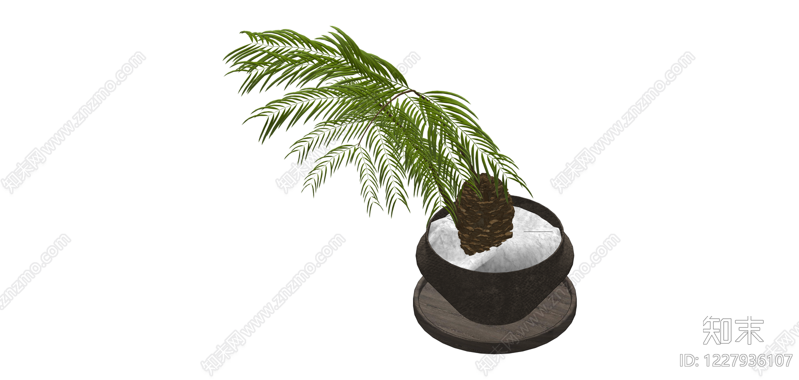 苏铁盆栽绿植SU模型下载【ID:1227936107】