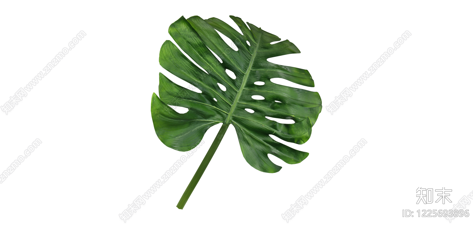 龟背竹绿植叶片SU模型下载【ID:1225693896】