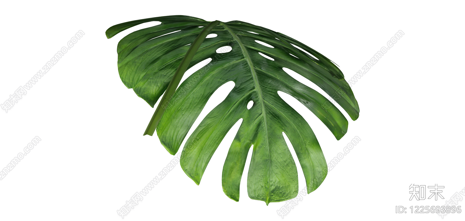 龟背竹绿植叶片SU模型下载【ID:1225693896】