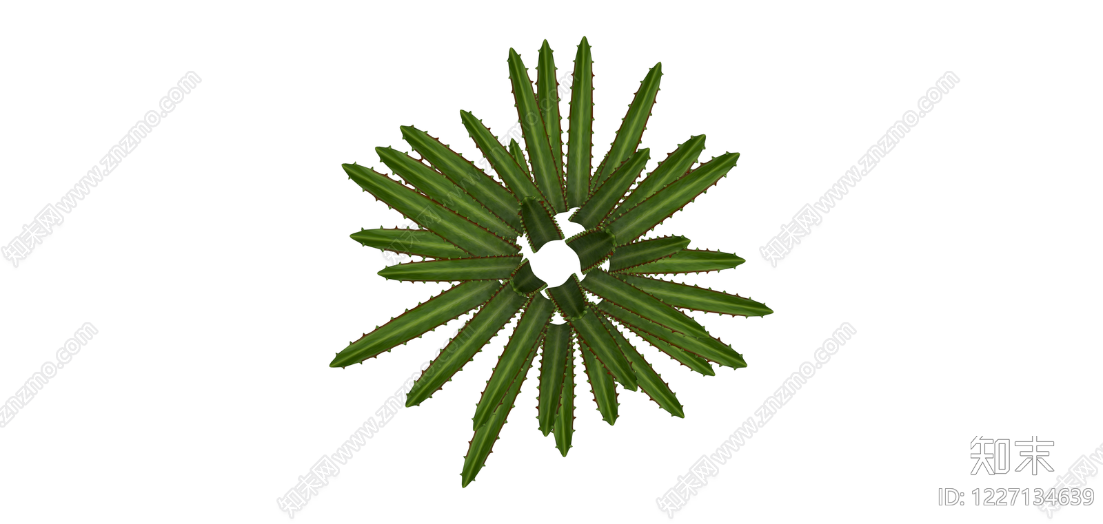 绿色带刺多肉植物SU模型下载【ID:1227134639】