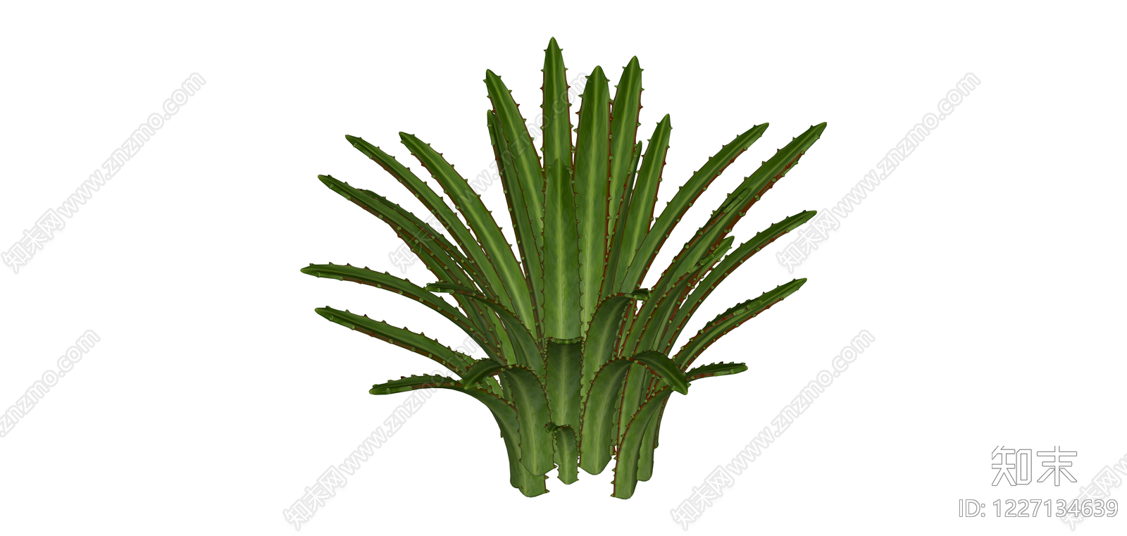 绿色带刺多肉植物SU模型下载【ID:1227134639】