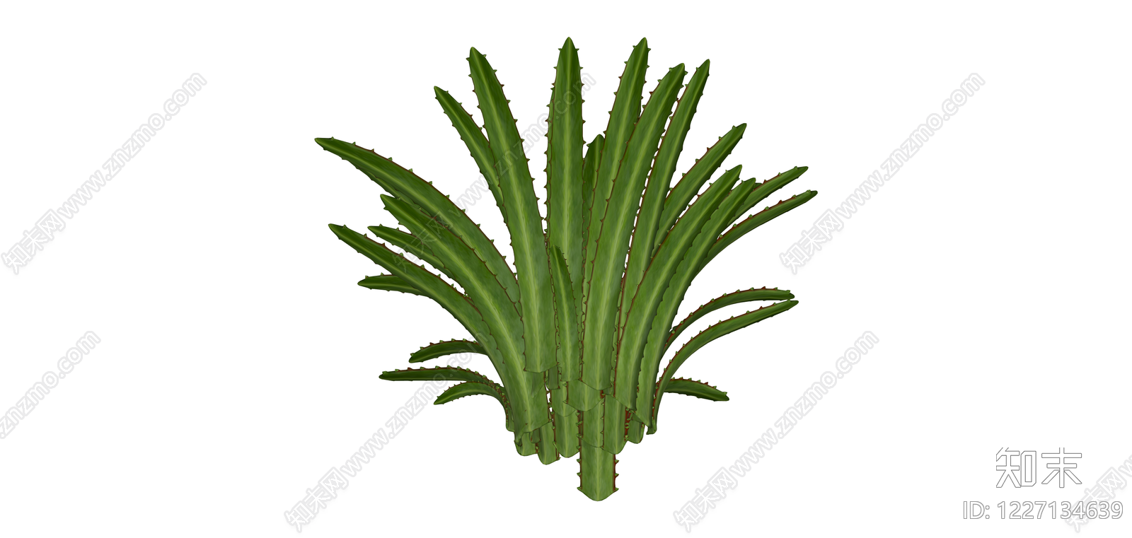 绿色带刺多肉植物SU模型下载【ID:1227134639】