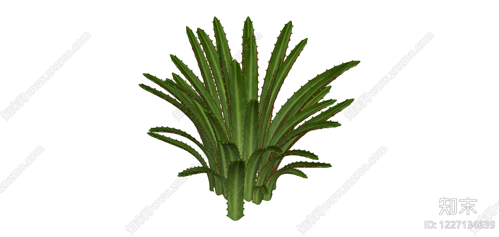绿色带刺多肉植物SU模型下载【ID:1227134639】