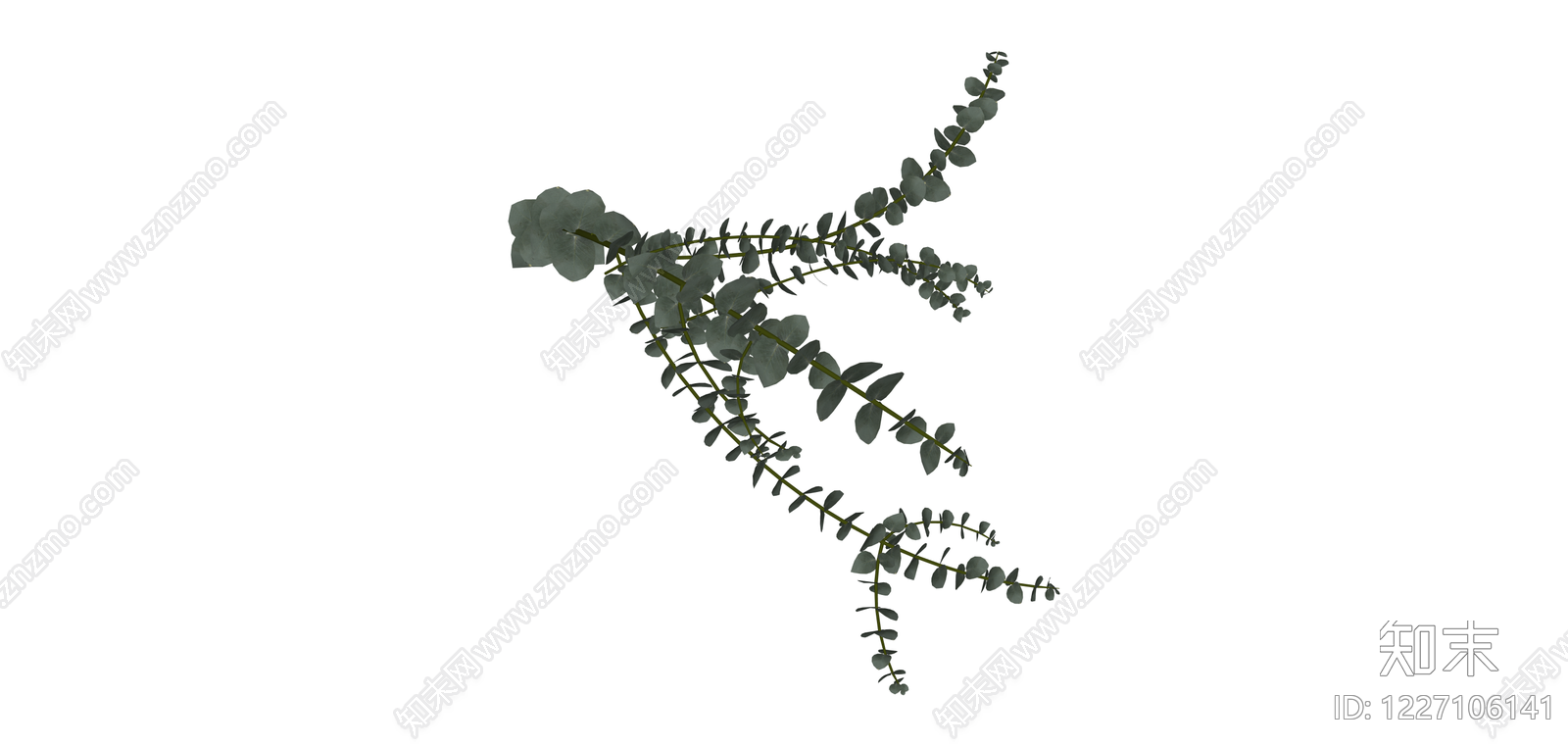 尤加利叶植物枝条SU模型下载【ID:1227106141】