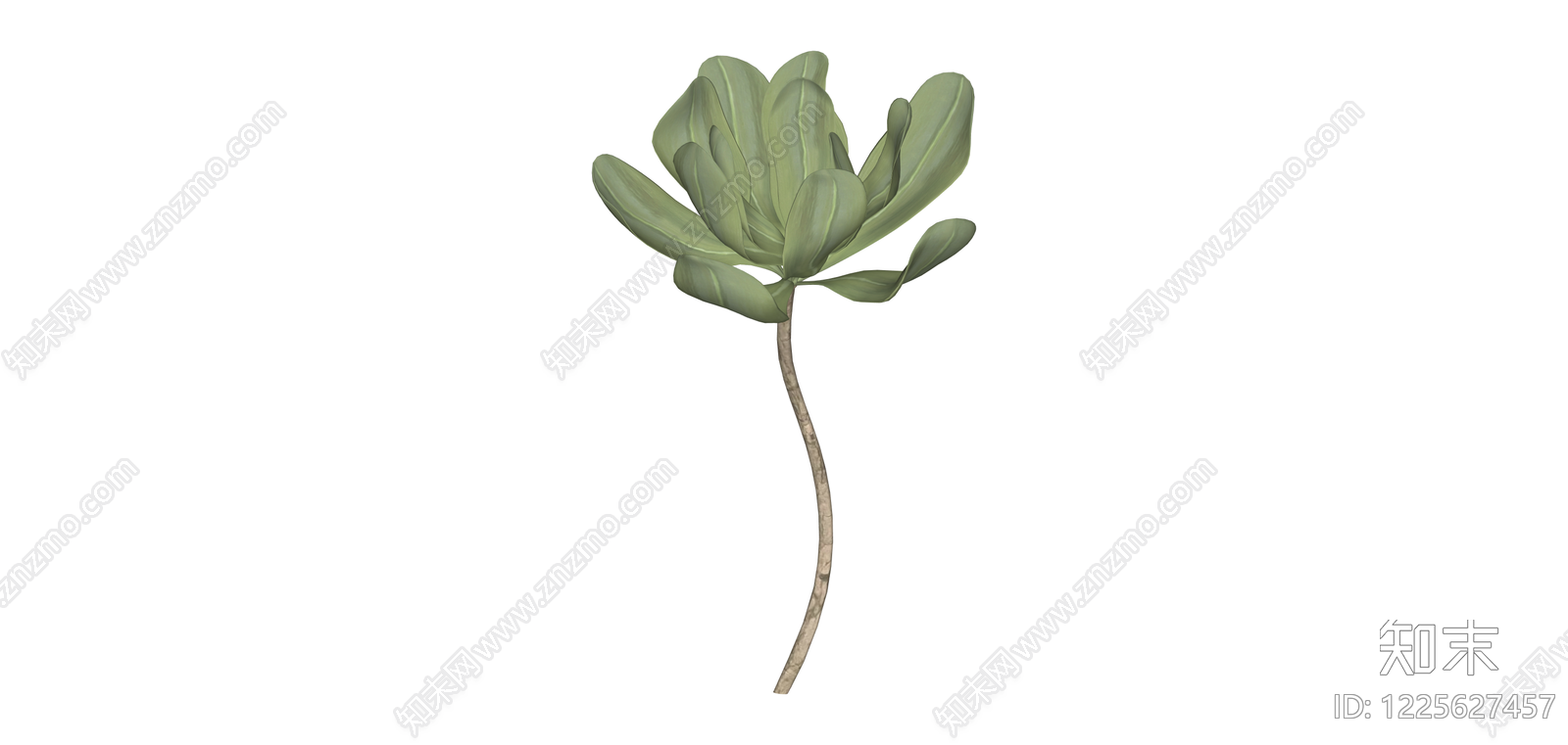 绿色花艺植物模型SU模型下载【ID:1225627457】