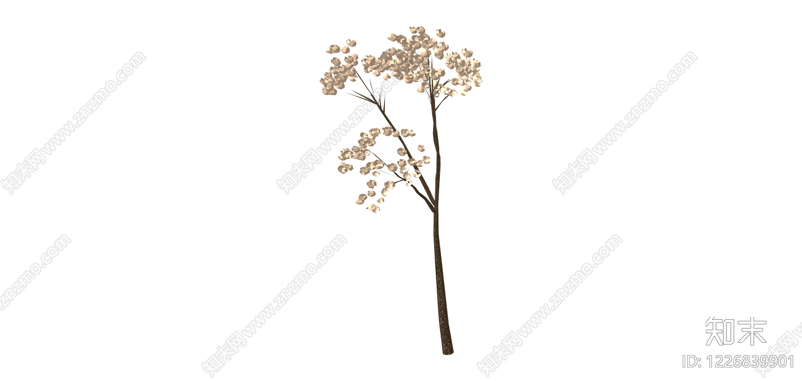 仿真满天星干花SU模型下载【ID:1226839901】