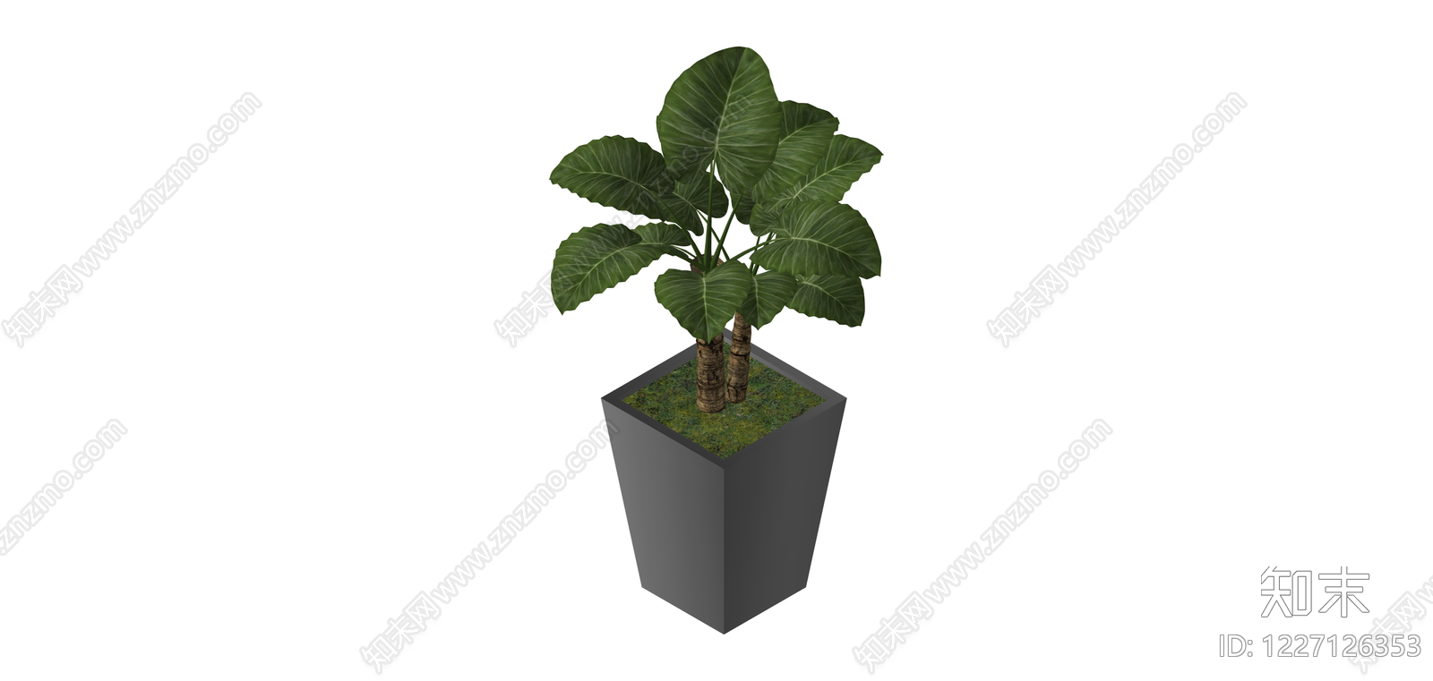 带盆绿植盆栽组合SU模型下载【ID:1227126353】