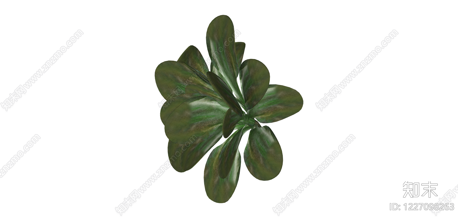 深绿色宽叶植物模型SU模型下载【ID:1227098263】