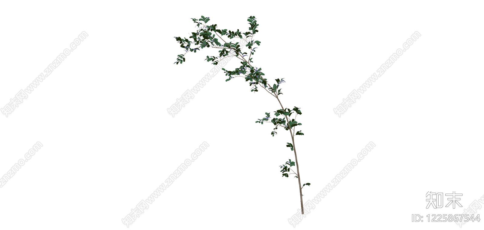 蓝花灌木植物SU模型下载【ID:1225867544】