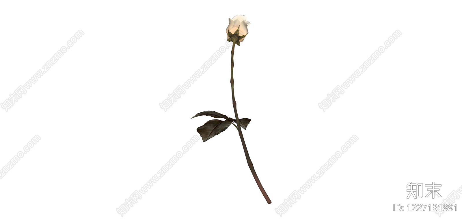 白玫瑰单支植物模型SU模型下载【ID:1227131991】