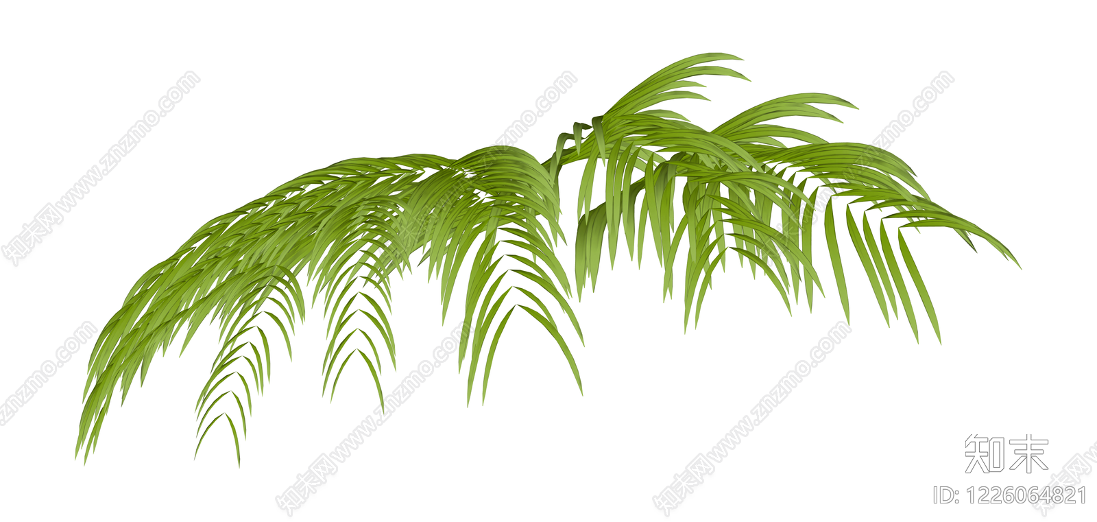 绿色散尾葵植物SU模型下载【ID:1226064821】