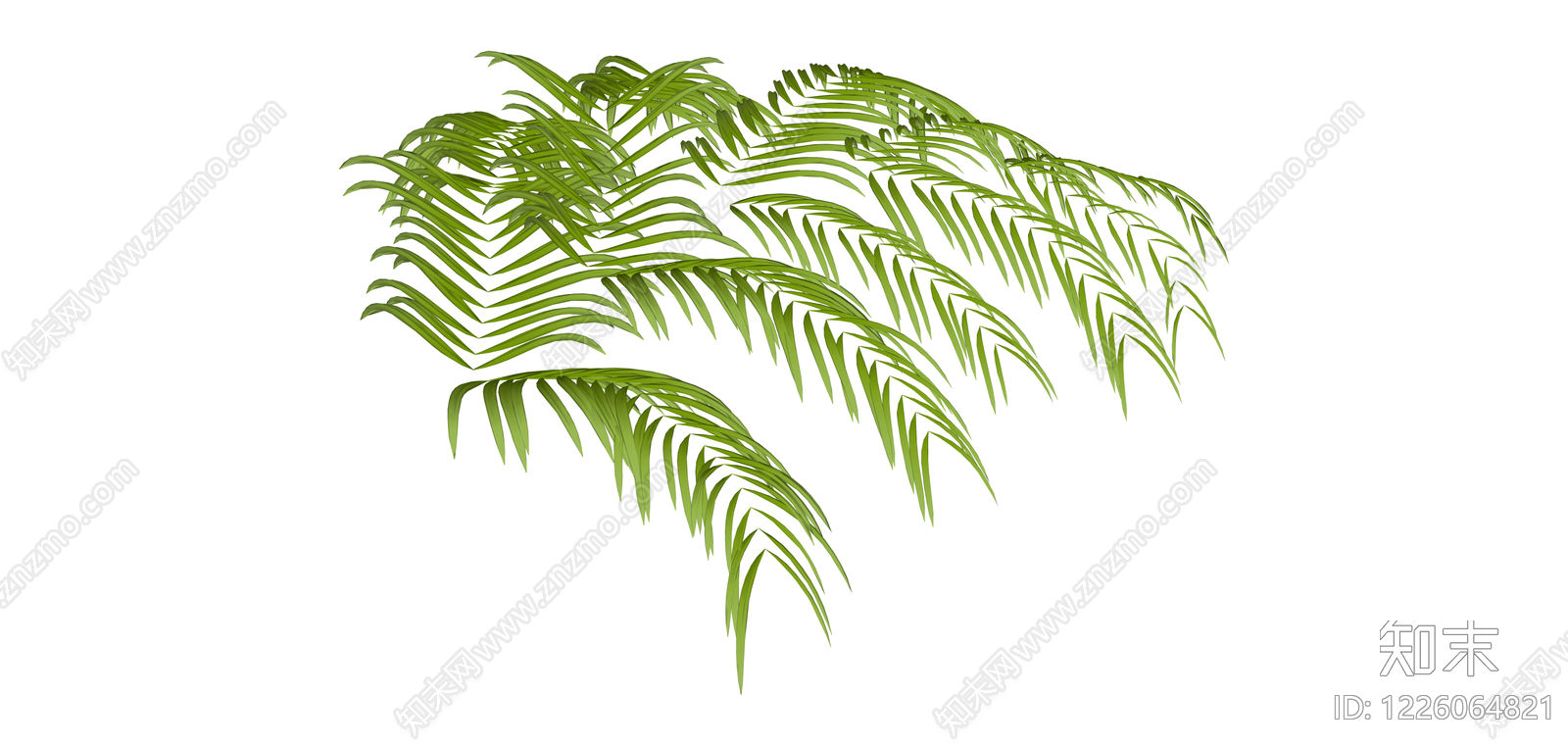 绿色散尾葵植物SU模型下载【ID:1226064821】