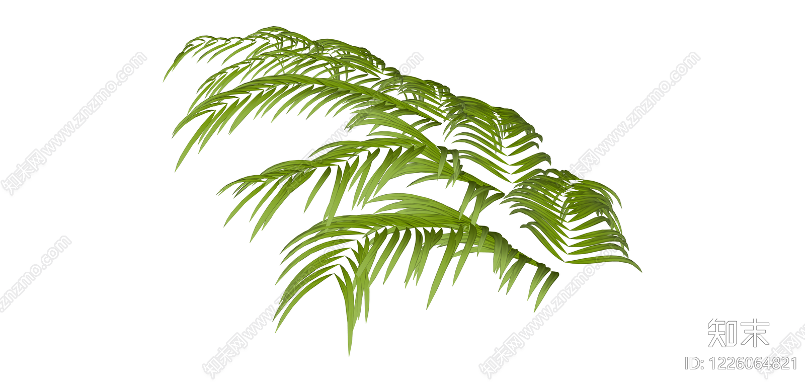 绿色散尾葵植物SU模型下载【ID:1226064821】