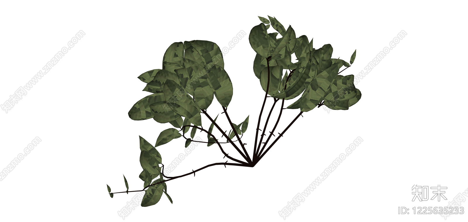 垂吊绿植植物模型SU模型下载【ID:1225635233】