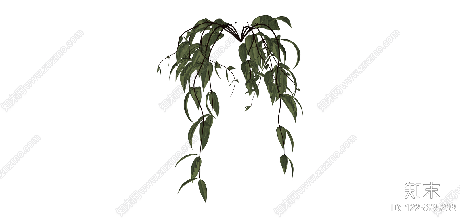 垂吊绿植植物模型SU模型下载【ID:1225635233】