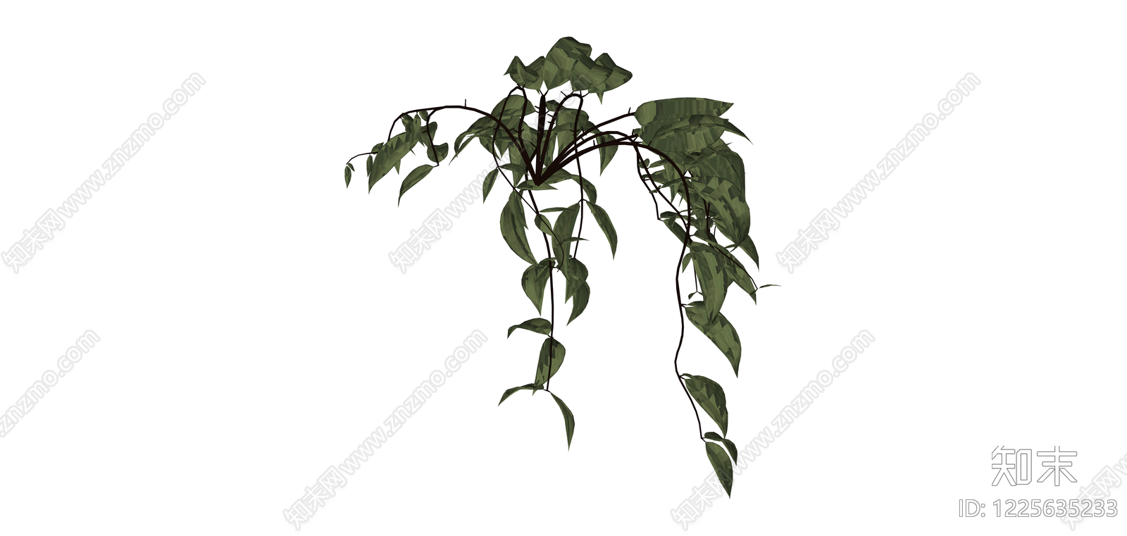 垂吊绿植植物模型SU模型下载【ID:1225635233】