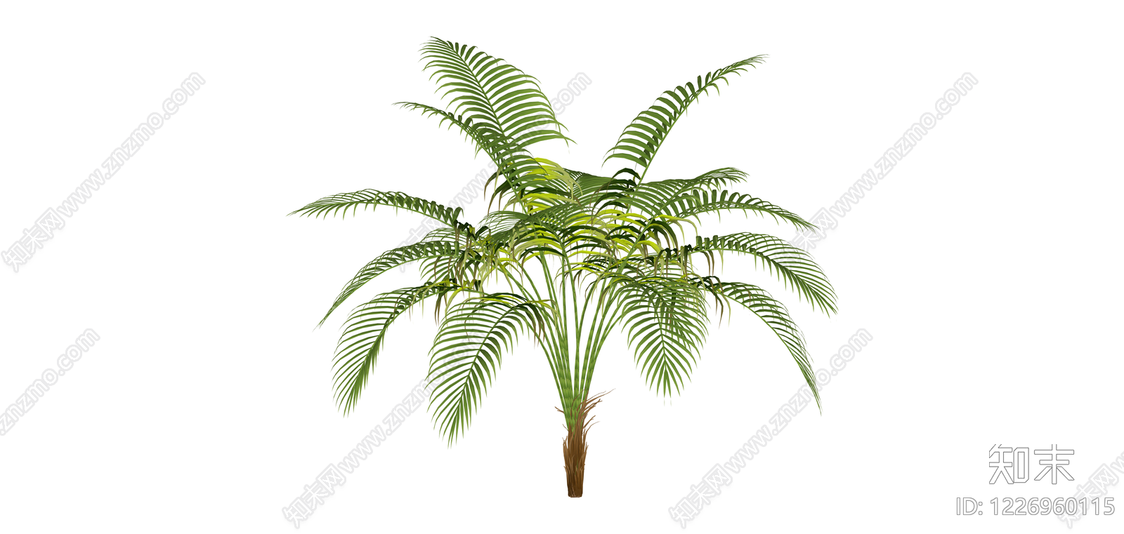 仿真散尾葵绿植模型SU模型下载【ID:1226960115】