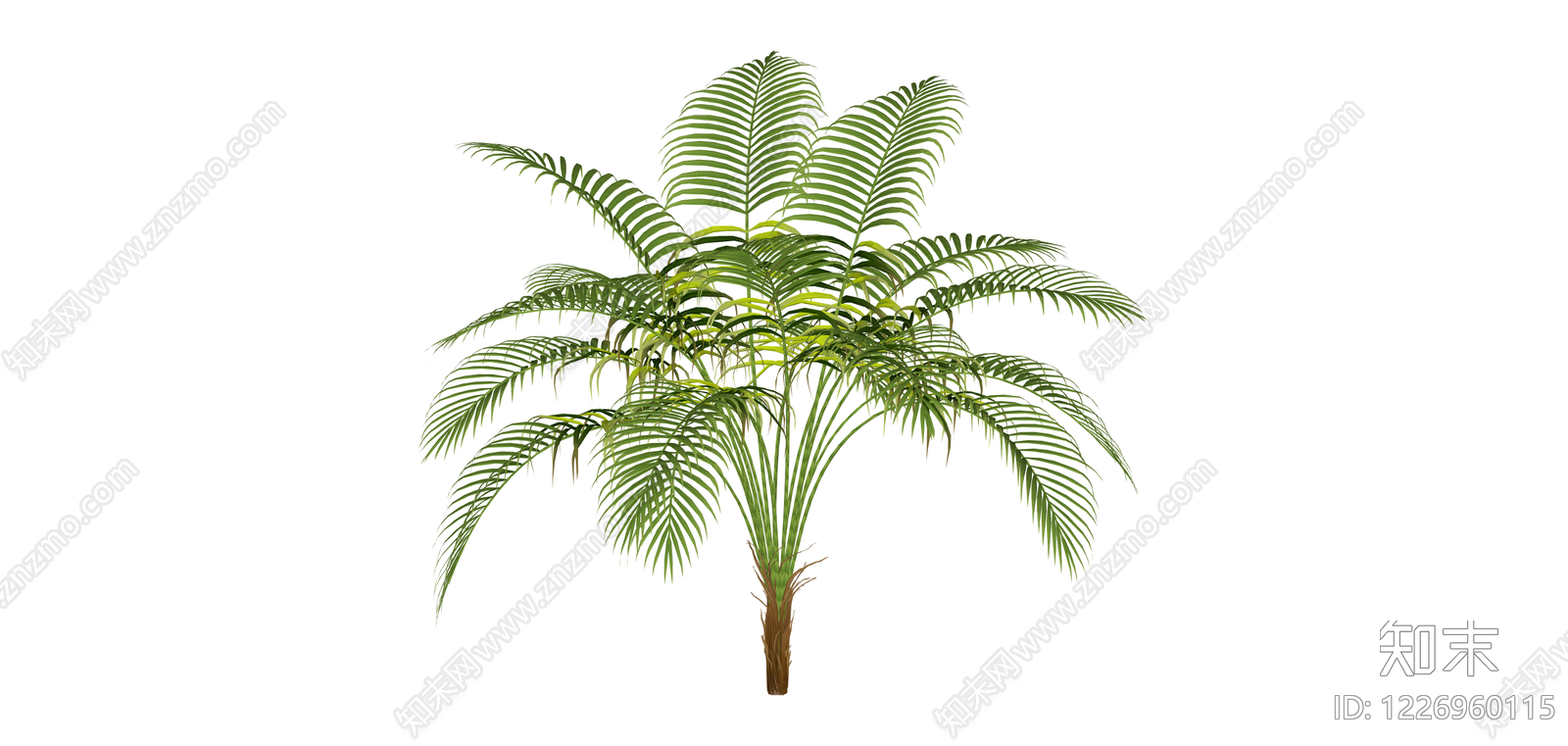 仿真散尾葵绿植模型SU模型下载【ID:1226960115】