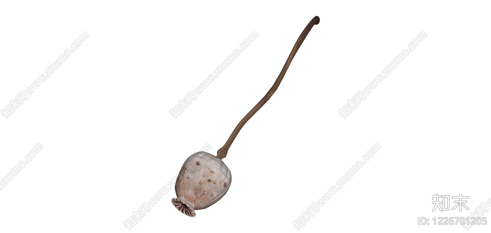 枯荷莲蓬植物SU模型下载【ID:1226701205】