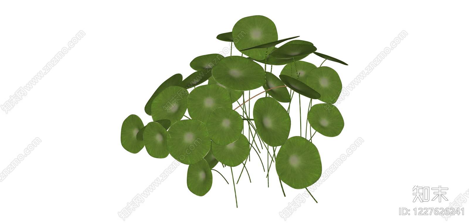铜钱草盆栽绿植组SU模型下载【ID:1227626241】