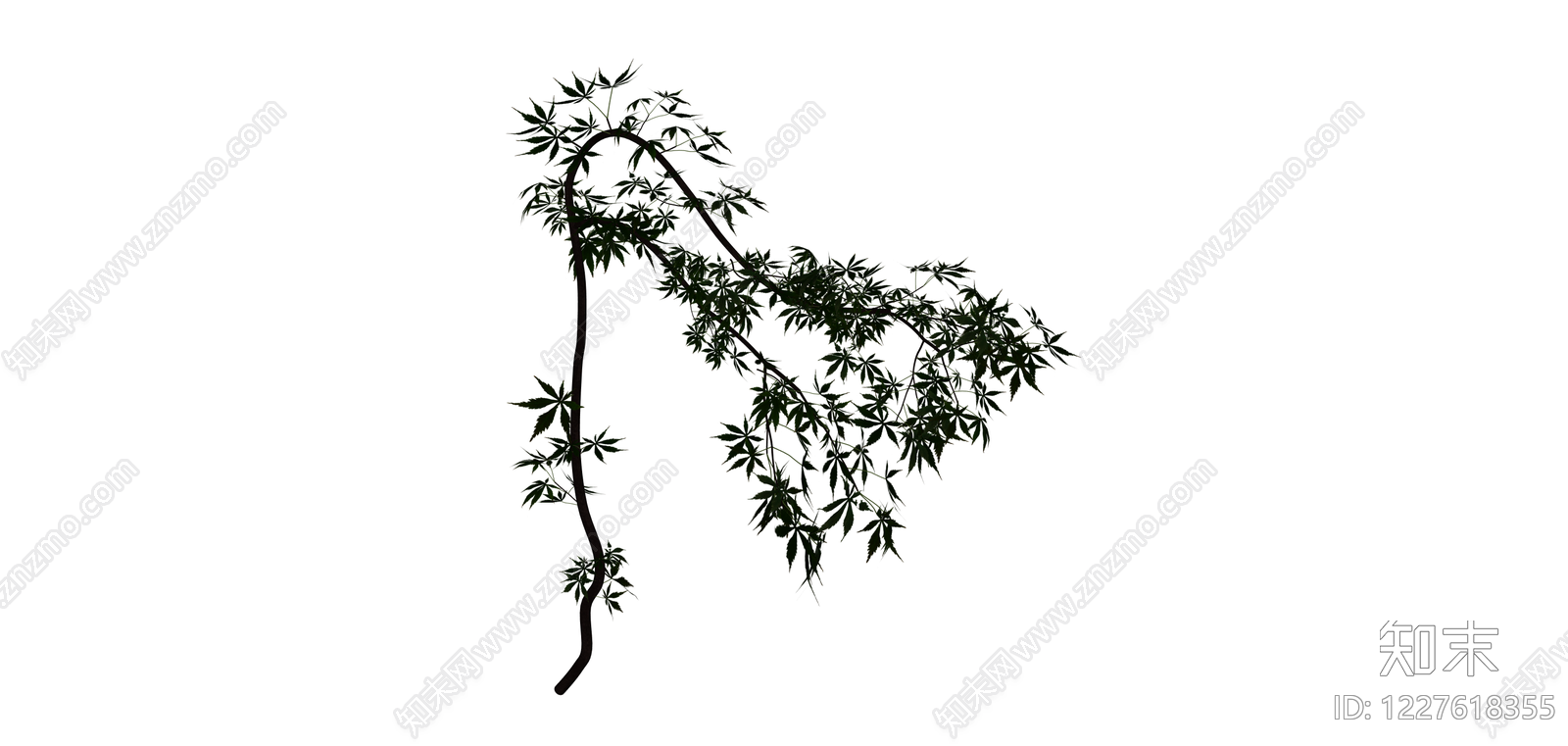黑化枫叶植物模型SU模型下载【ID:1227618355】