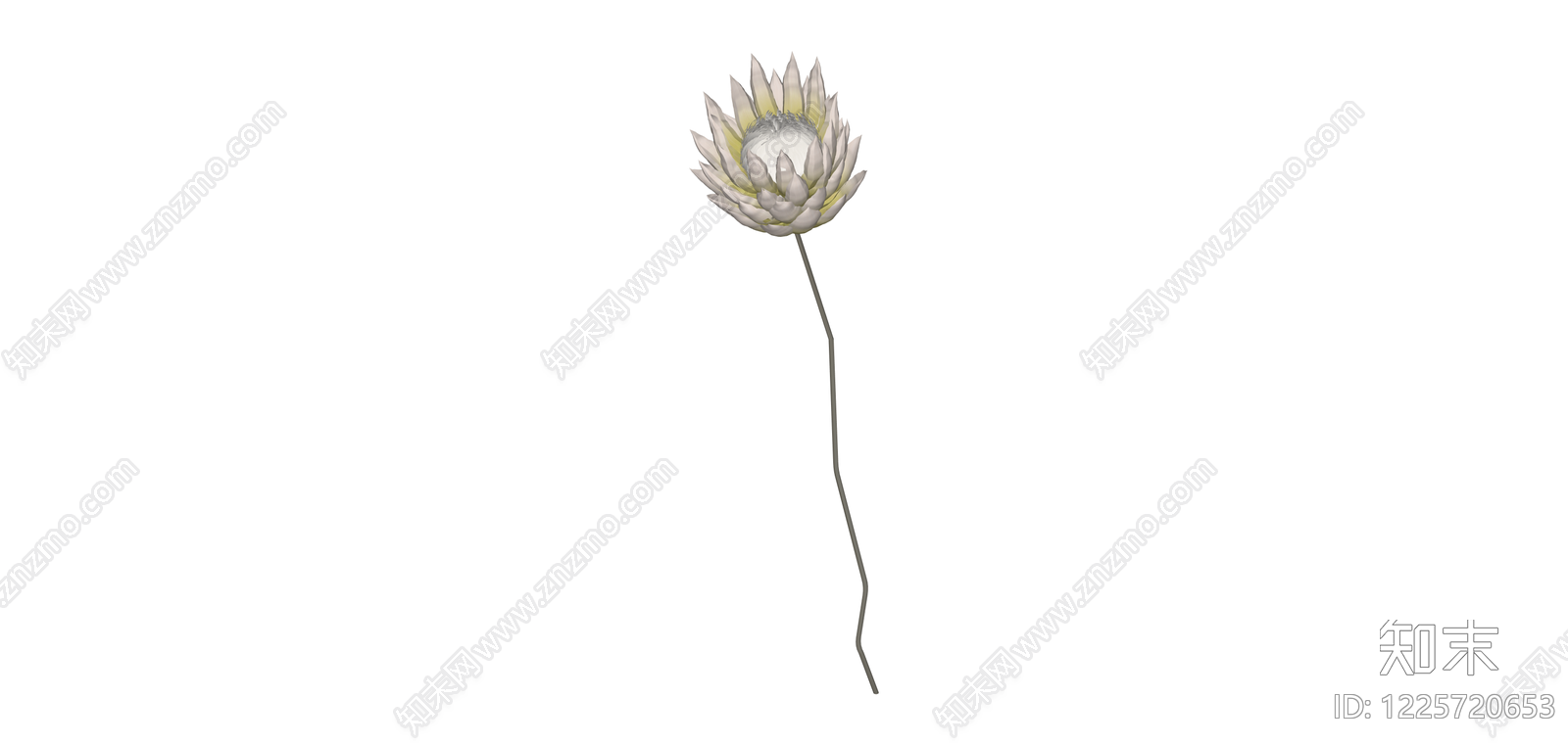 白色干花花艺模型SU模型下载【ID:1225720653】