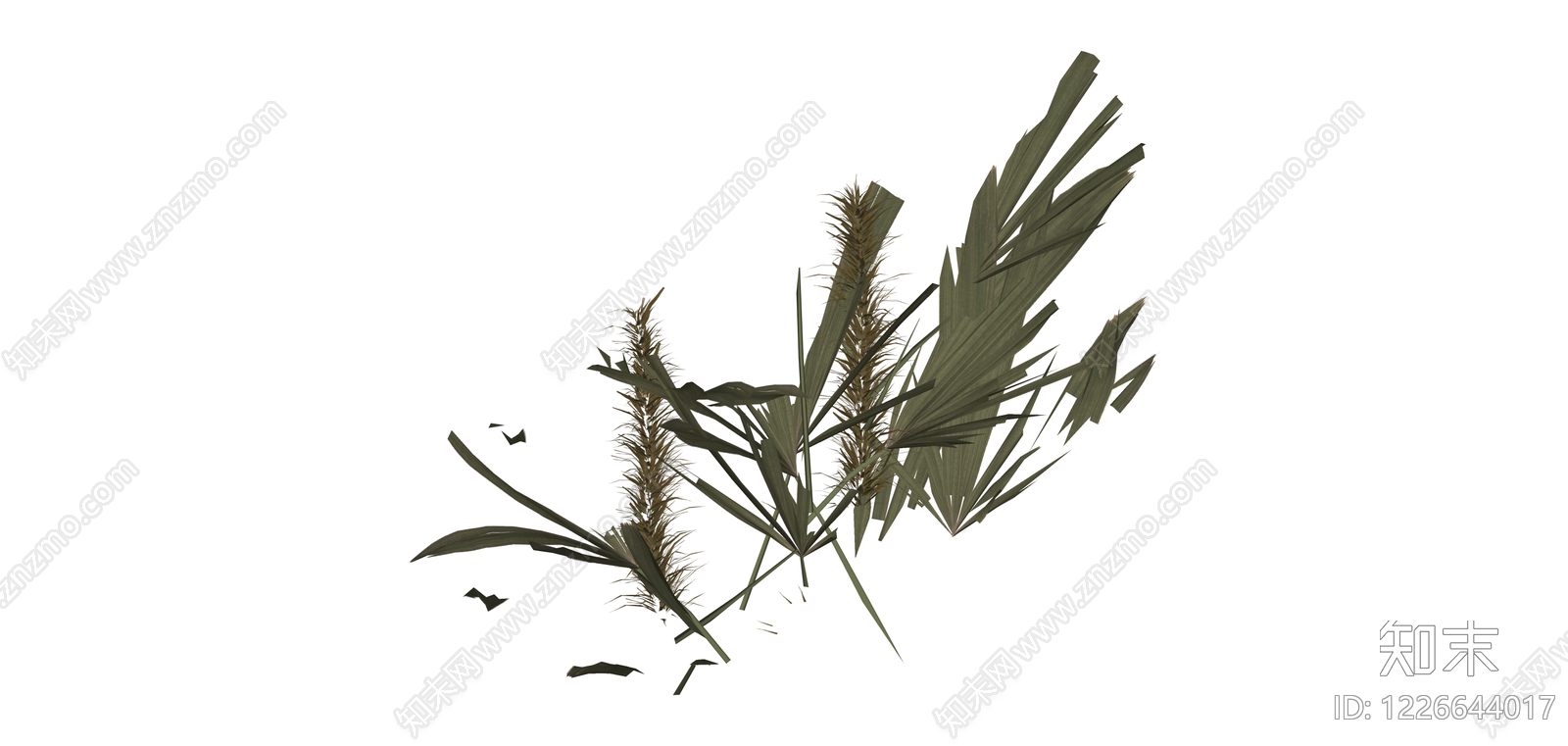 棕榈科植物组景SU模型下载【ID:1226644017】