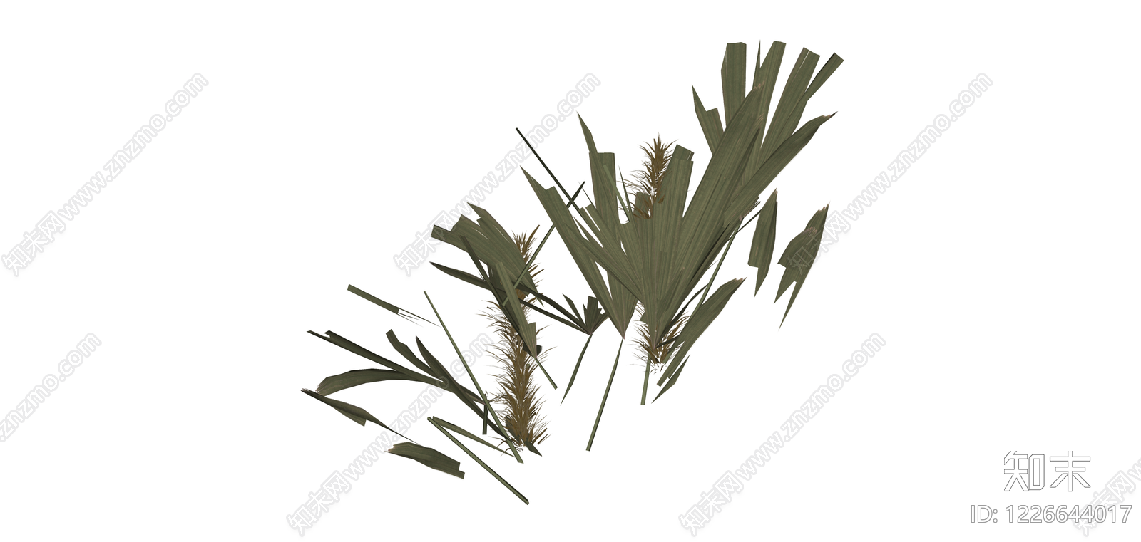 棕榈科植物组景SU模型下载【ID:1226644017】