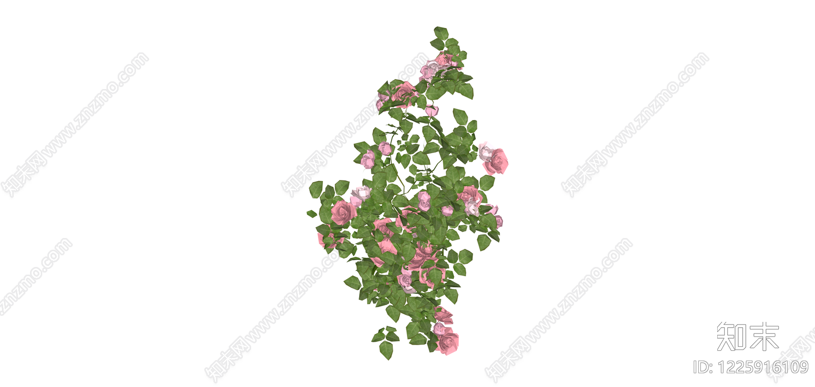粉色蔷薇花藤SU模型下载【ID:1225916109】