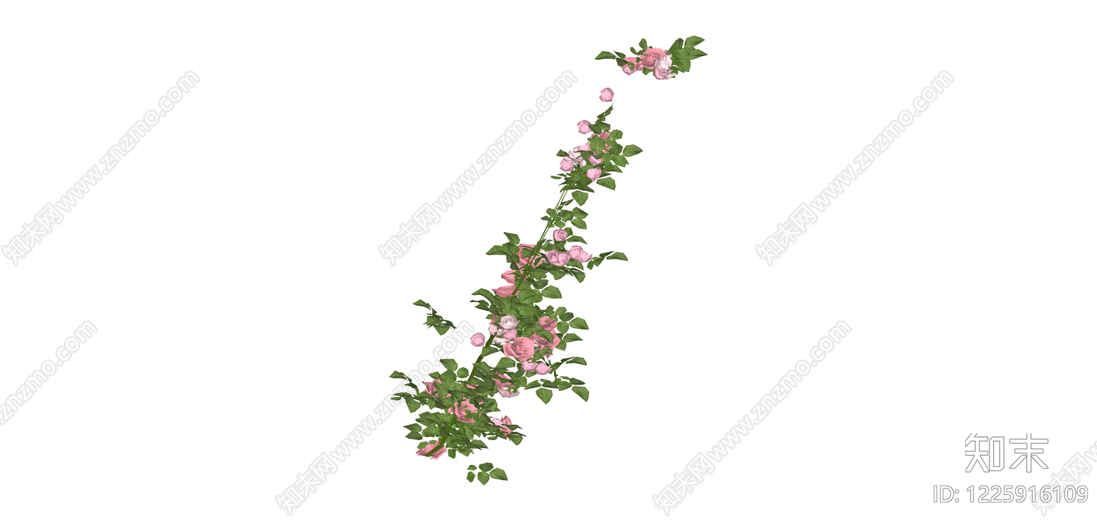 粉色蔷薇花藤SU模型下载【ID:1225916109】