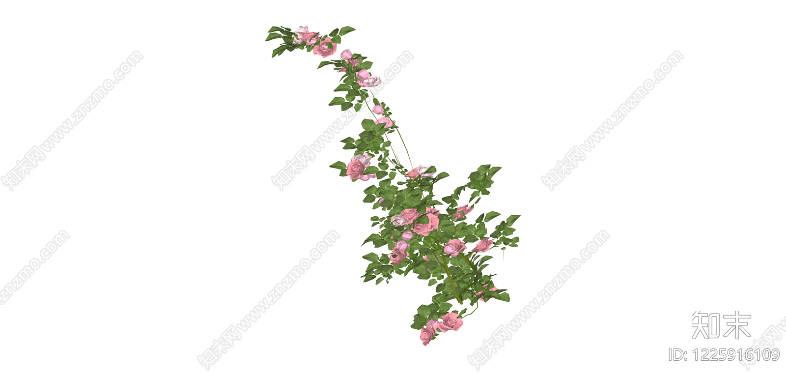 粉色蔷薇花藤SU模型下载【ID:1225916109】