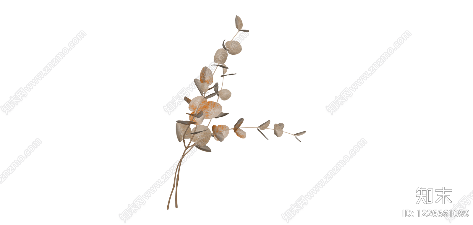 干燥尤加利叶植物SU模型下载【ID:1226661099】