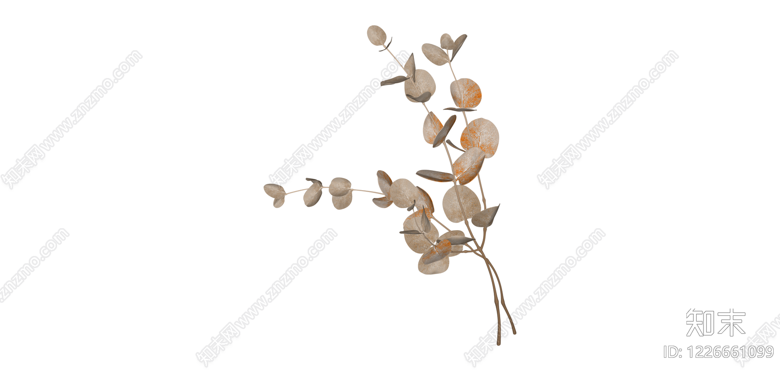 干燥尤加利叶植物SU模型下载【ID:1226661099】