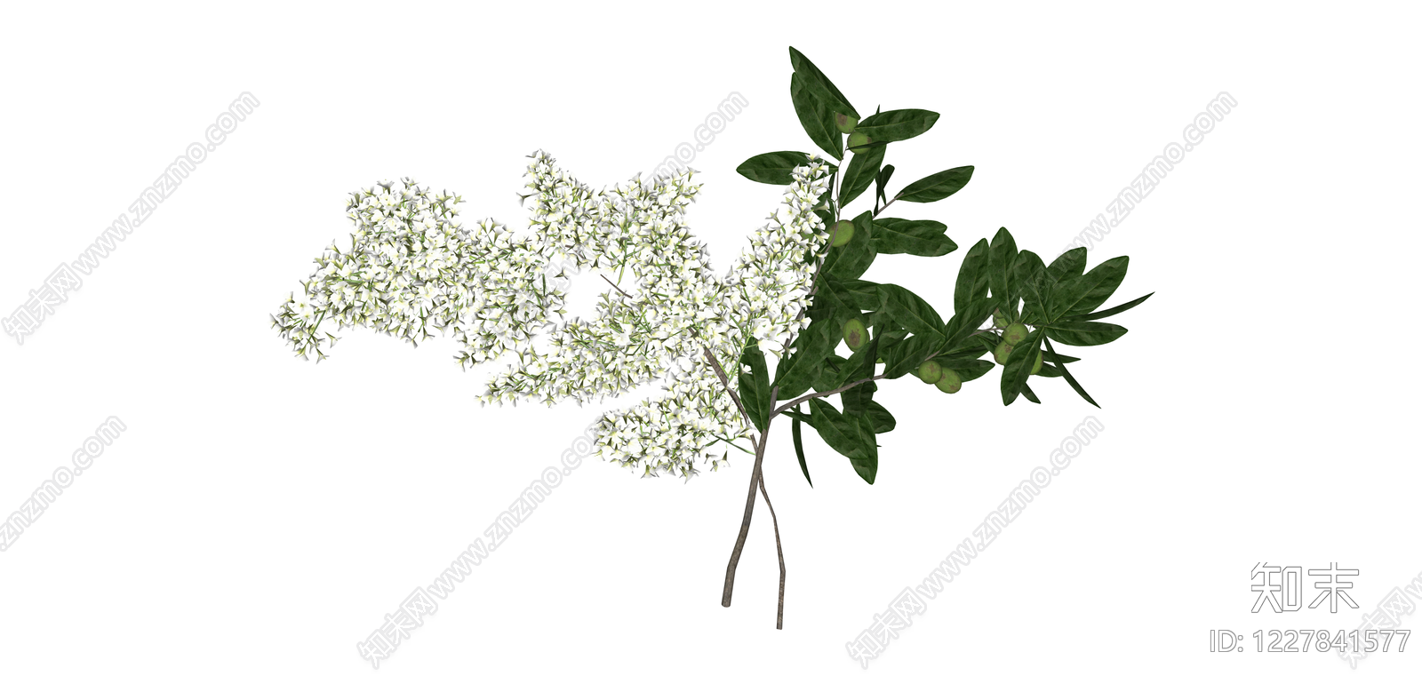 橄榄枝与白色花艺组合SU模型下载【ID:1227841577】