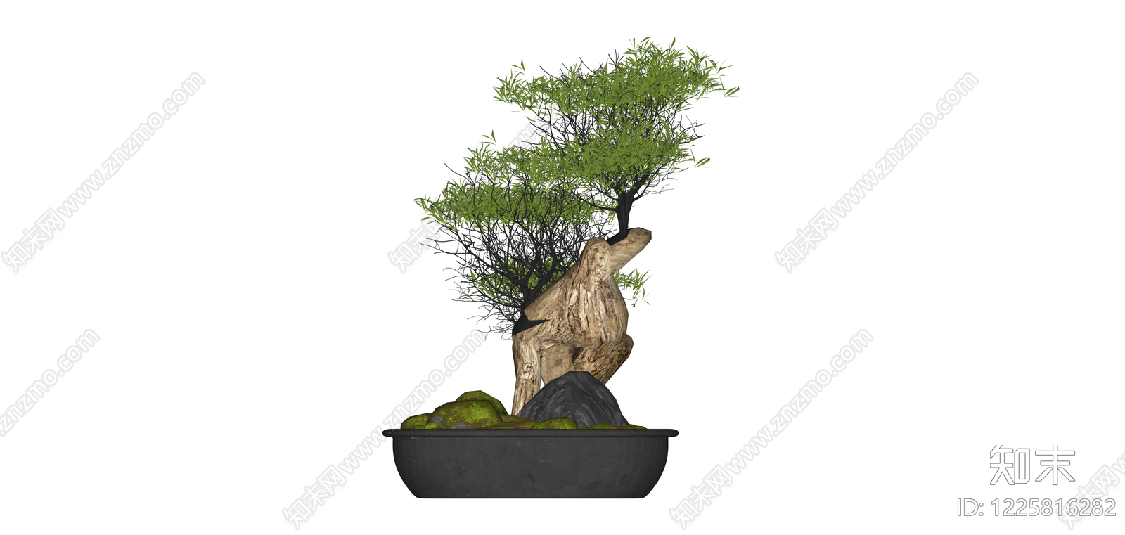 带盆造型景观树SU模型下载【ID:1225816282】