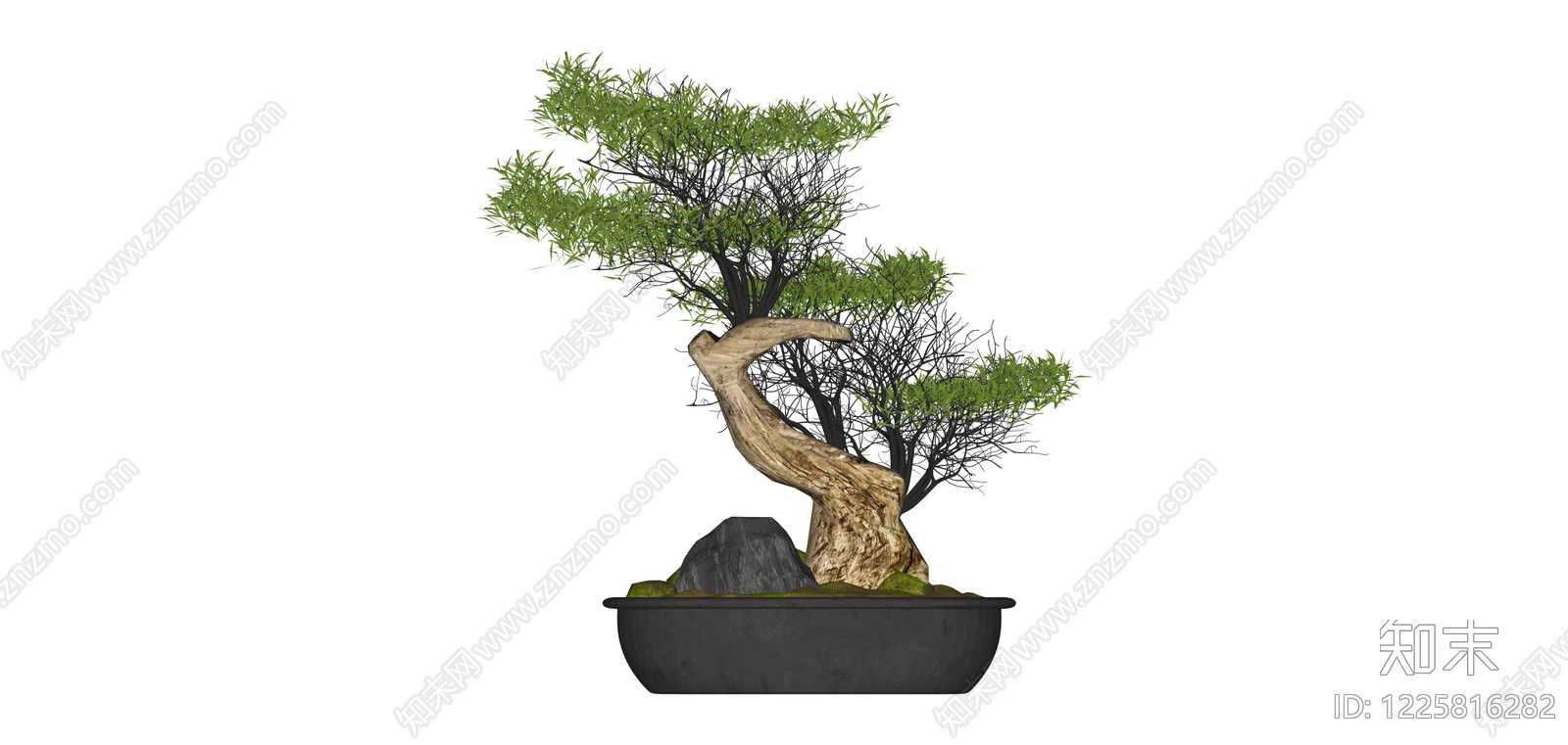带盆造型景观树SU模型下载【ID:1225816282】