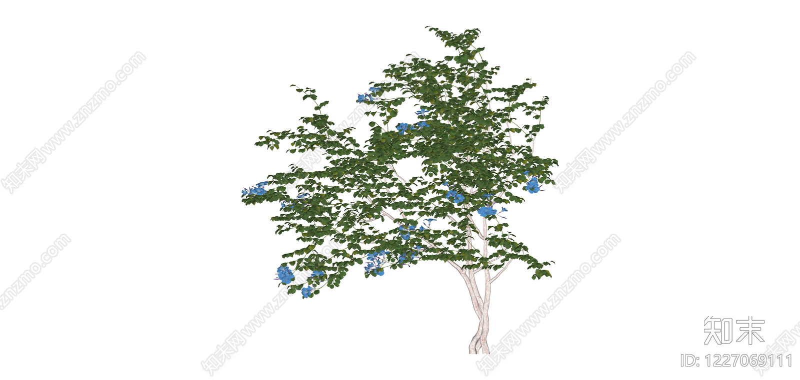 带蓝花景观树模型SU模型下载【ID:1227069111】