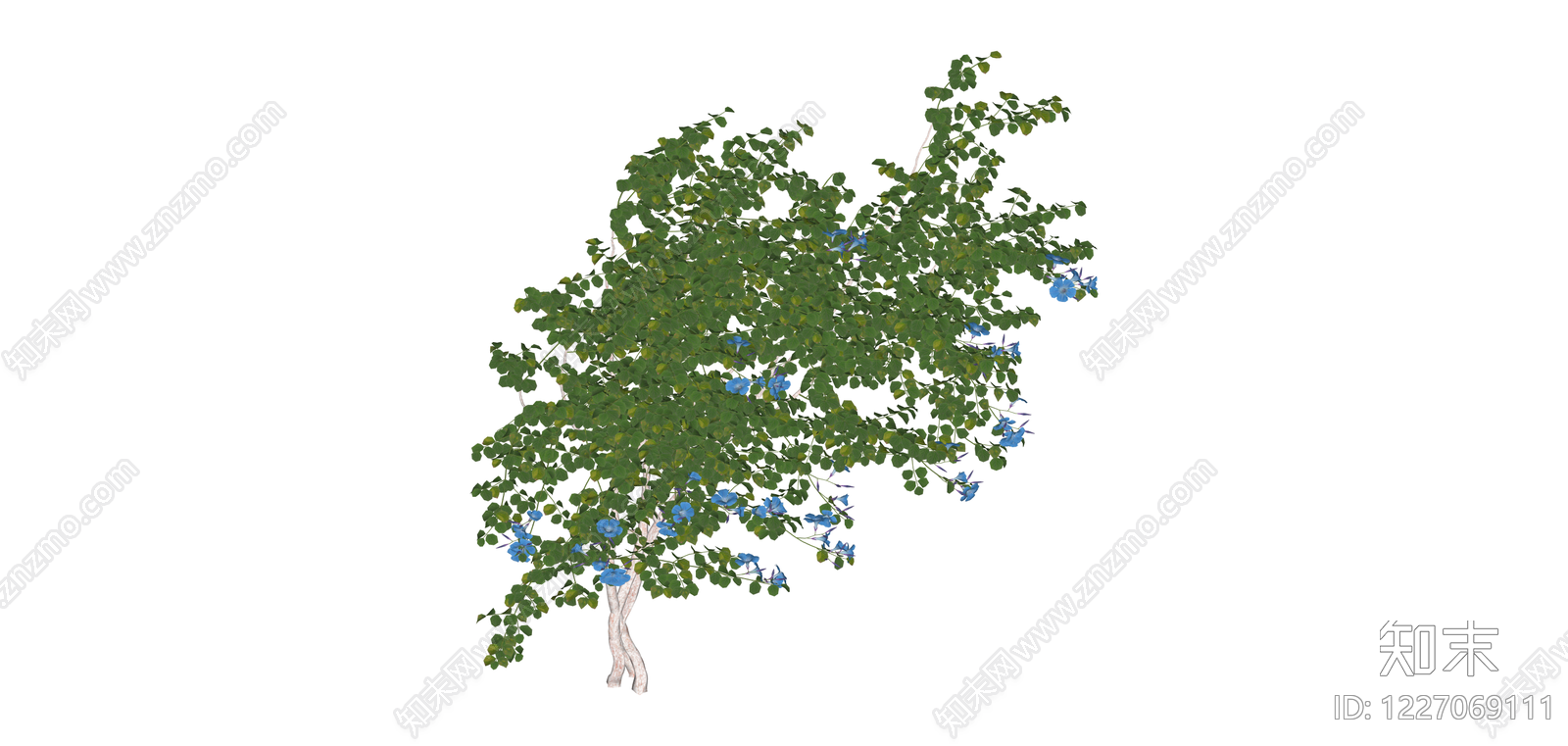 带蓝花景观树模型SU模型下载【ID:1227069111】