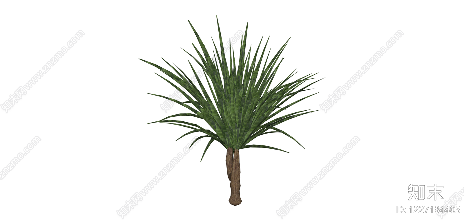 分叉造型龙血树SU模型下载【ID:1227134405】