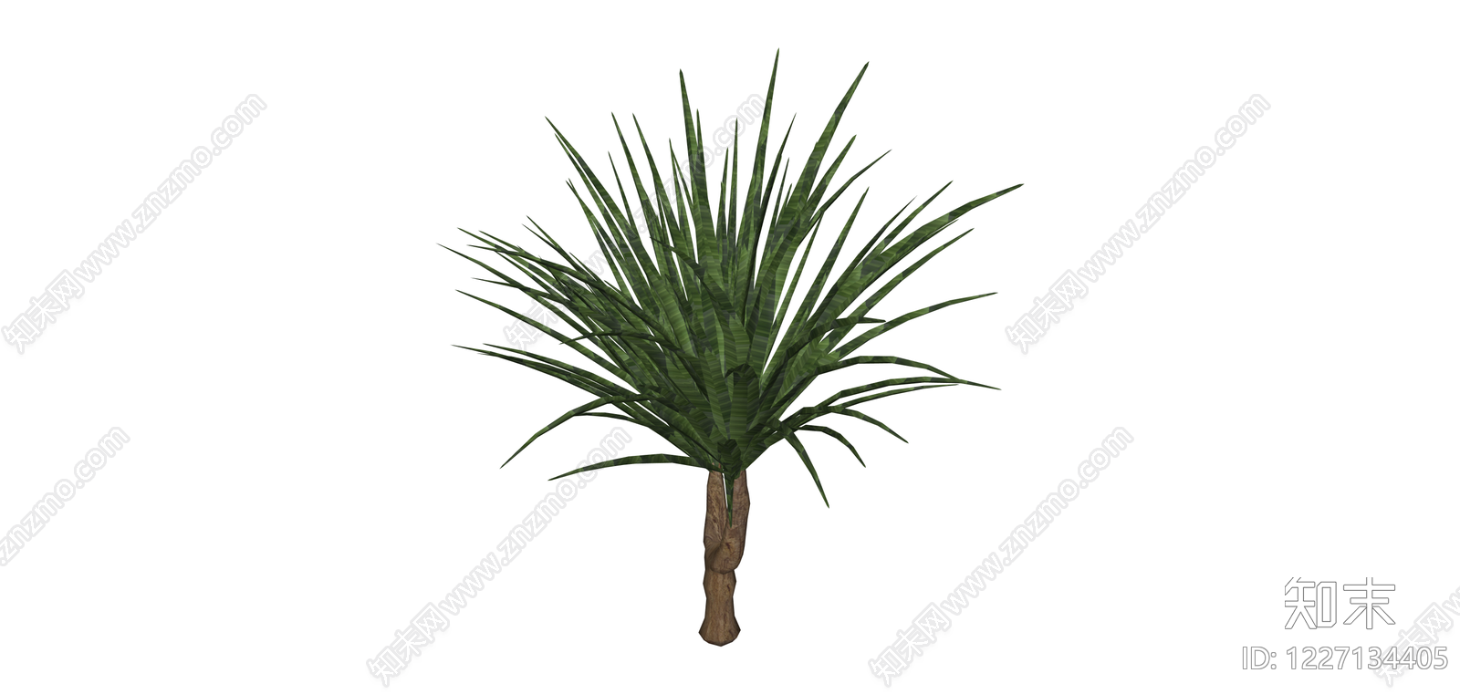 分叉造型龙血树SU模型下载【ID:1227134405】