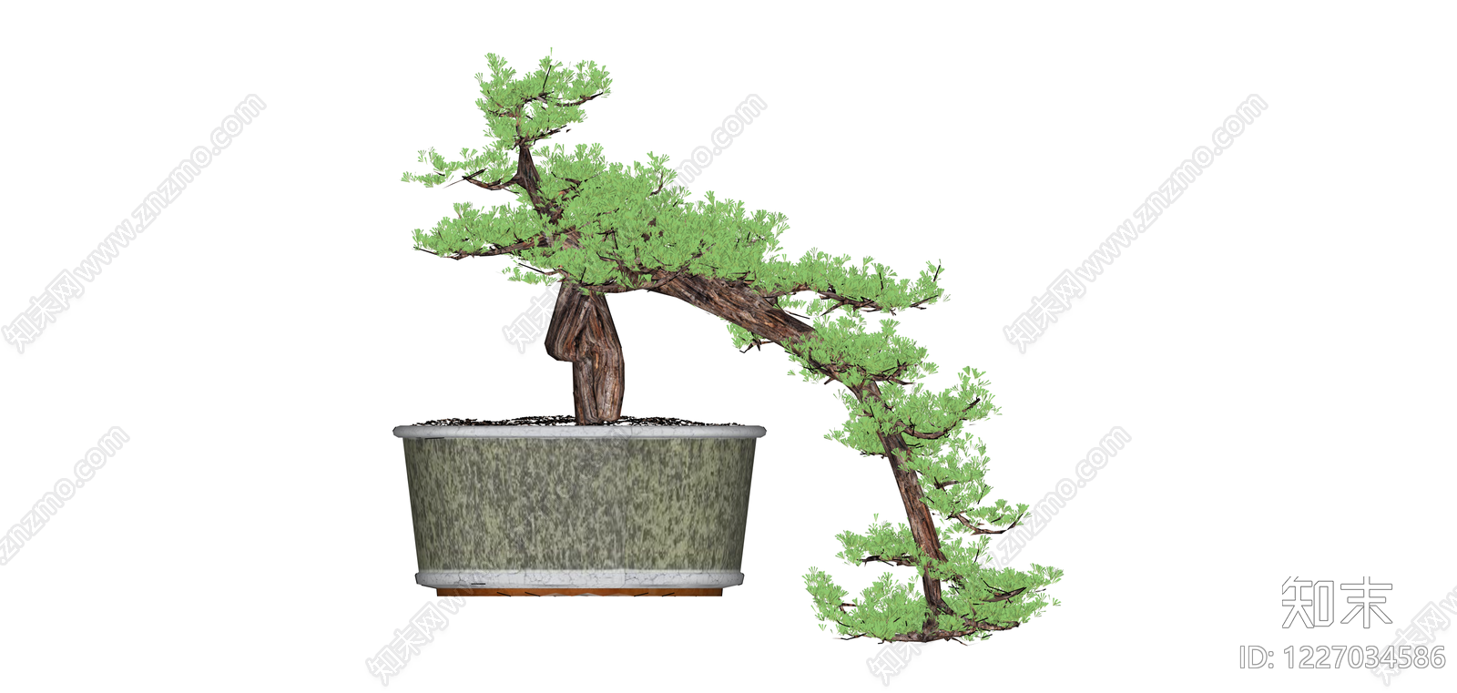 带盆造型盆景SU模型下载【ID:1227034586】