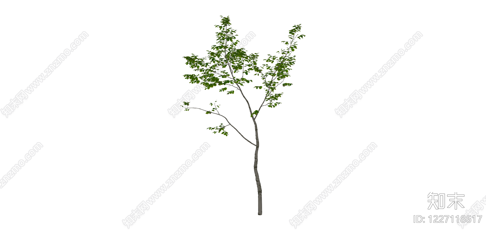 绿叶景观树木SU模型下载【ID:1227118617】