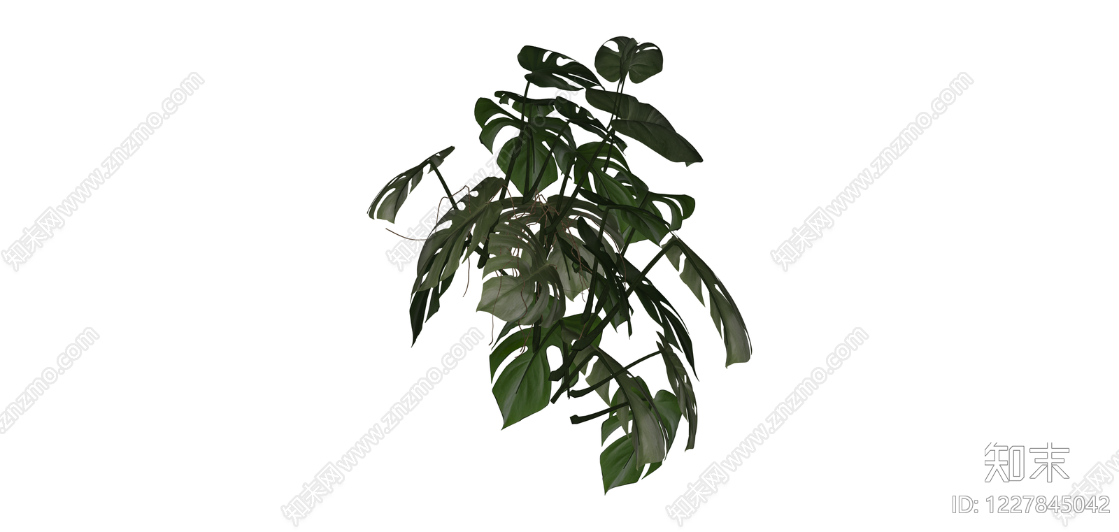 龟背竹盆栽绿植SU模型下载【ID:1227845042】