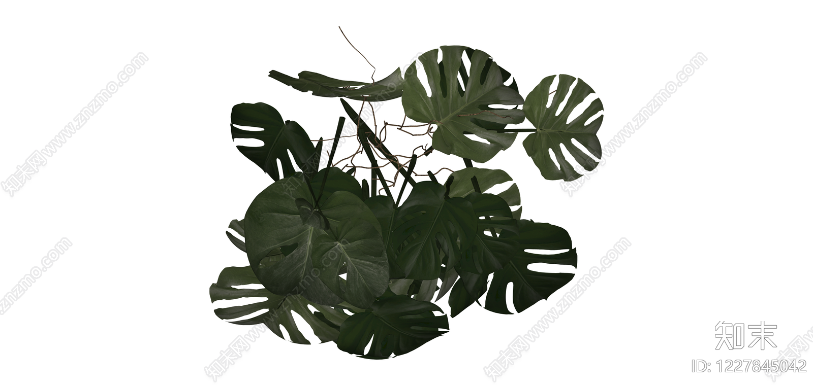 龟背竹盆栽绿植SU模型下载【ID:1227845042】